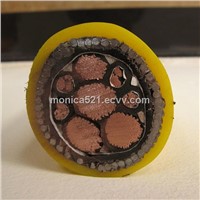 0.6/1KV XLPE Insulated SWA Armoured Marine Cable