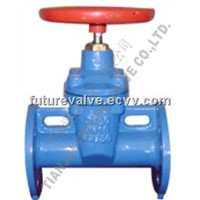 DIN3352 F5 Non-rising Stem Resilient Seated Gate Valves