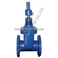Non-rising Stem Resilient Seated Gate Valves To ANSI 125/150