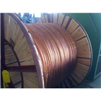 Stranded Copper Clad Steel Wires