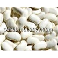 White Kidney Bean Extract 1%2%10:1 phaseolin HPLC