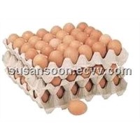 egg tray/egg box/paper pulp egg tray