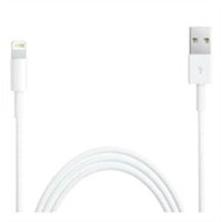 iPhone 5 Charger Cable