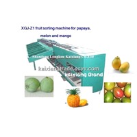 XGJ-Z1 fruit sorting machine for papaya, mango, melon