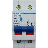 CAM ROTARY ROHS Tianshui 213 GSG1-100 series separated switch
