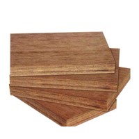 Container Floor/Truck Floor/Marine Plywood