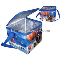 Cooler Bag(Km-Icb0004), Ice Bag, Lunch Cooler, Promotion Bag, Can Cooler
