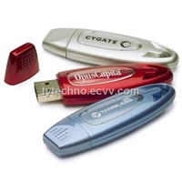 Hot Sell Top Grade Model Plastic USB Stick