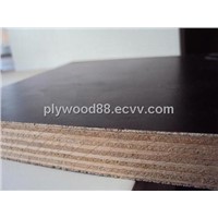 eucalyptus Film Faced Plywood