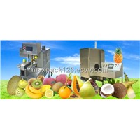 fruit processing machine