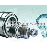 INA Cylindrical Roller Bearings (SL04 5004 PP)