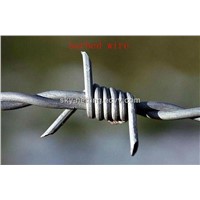 Hot-Dipped Galvanized Barbed Wire for Boundry