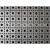 Perforated Metal/Perforated Sheet/Punching Hole Mesh