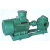 Electric Gear Oil Pump For Diesel And Gasoline Transfer With Rotary Gear Pump