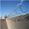 Razor wire-long-barb type on top of a chain link privacy-fence