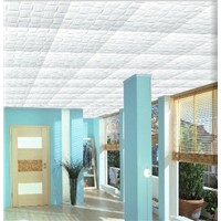 Automatic Styrofoam Ceiling Board Building Board Shape Molding Machine