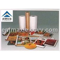 Glossy BOPP Film