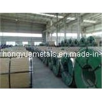 Hot Rolled Stainless Steel Coil (304)