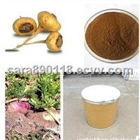 Maca extract powder in food &amp;amp; beverage