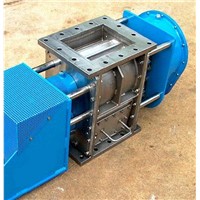 Self-cleaning rotary valve