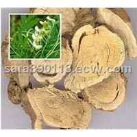 Sophora Extract, Total Matrines