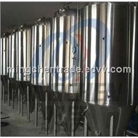 Stainless Steel Beer Fermentor