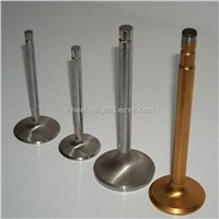 engine valves for BEDFORD