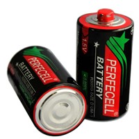 R20 Size D PVC Jacket Best Battery