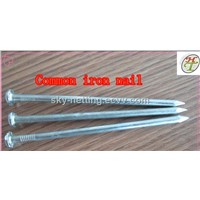 Common Iron Nail 2.40mm 38mm Packed 25kg/Carton