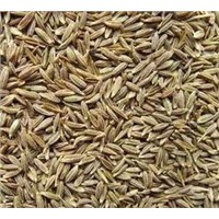 Cumin Seeds