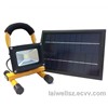 Solar LED Flood Light (LW-SL102)