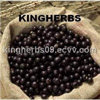 Acai Berry Extract 4:1; 10:1, 1%-15% Anthocyanidins, 10% Flavones