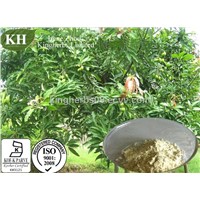 Kingherbs Offer Mangiferin, Mango leaf extract CAS:4773-96-0