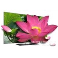 42-inch 1,080-pixel LED Advertising Player with LAN Port, Flash Drive and Aluminum Housing