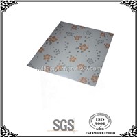 False ceiling and Design on ceiling (595MM) Hot stamping