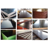 Film Faced Plywood / Shuttering Plywood / Formwork Plywood