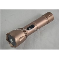 HD LED Flashlight Camera/Flashlight camera dvr with high light wholesale/Hunting camera