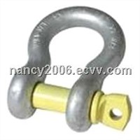 US type screw pin anchor shackle