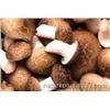 Natural Shitake Mushroom Extract/Lentinan extract Polysaccharide 10%-50%
