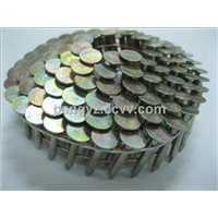 13/4'' Galvanized coil roofing nails ,roof nail