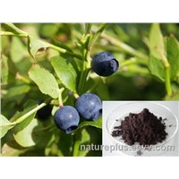 Acai berry Extract Powder-Anthocyanin &amp;amp; Polyphenols