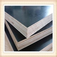 GIGA film faced plywood manufacturer/construction plywood