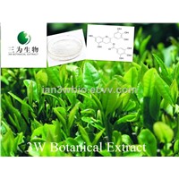 Green Tea Extract(sales05 AT 3wbio DOT com)