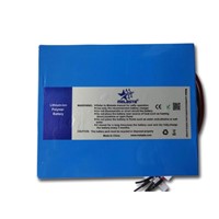 Li-Polymer 36V 10ah E-Scooter/ E-Vehicle Battery Pack with CE Approved