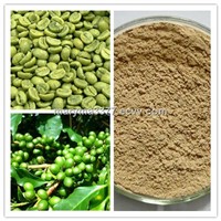 Most Popular Green Coffee Bean Extract
