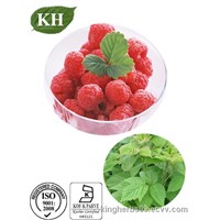 Raspberry Ketone Glucoside CAS: 38963-94-9