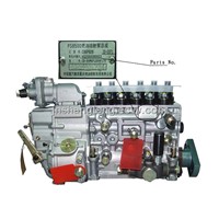 SINOTRUK WD615 Series Diesel Engine for Truck Parts