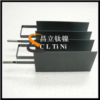 Titanium anode for swimming pool disinfection