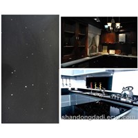 black quartz countertop