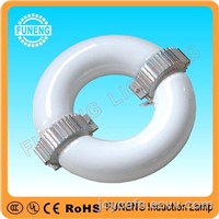 circular low frequency high power induction lamp